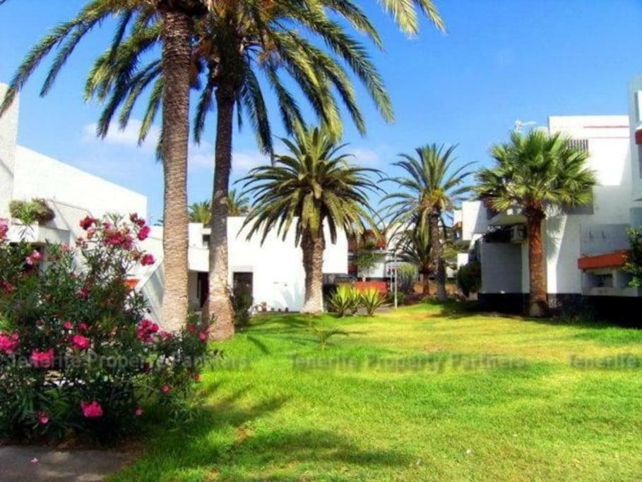 Frontera Primavera Costa Del Silencio Dış mekan fotoğraf